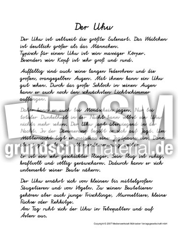 Fehlerlesen-Uhu-1-2-Text-VA.pdf